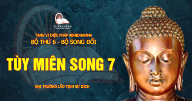 tang vi dieu phap abhidhamma bo 6 bo song doi dai truong lao tinh su dich 23