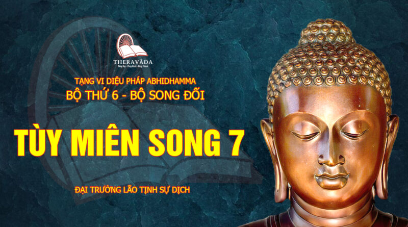 tang vi dieu phap abhidhamma bo 6 bo song doi dai truong lao tinh su dich 23