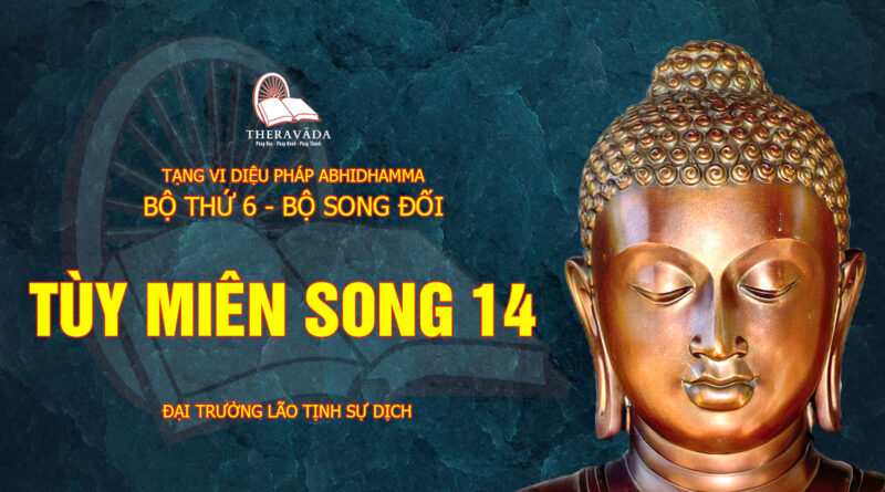 tang vi dieu phap abhidhamma bo 6 bo song doi dai truong lao tinh su dich 30