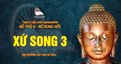 tang vi dieu phap abhidhamma bo 6 bo song doi dai truong lao tinh su dich 6