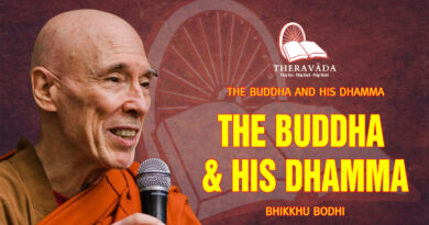 the buddha and his dhamma bikkhu bodhi 2