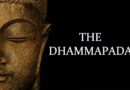 Video [live] Lớp Kinh Pháp Cú Dhammapada Pali – Câu 35-36 I Sư Thiện Hảo Giảng Dạy