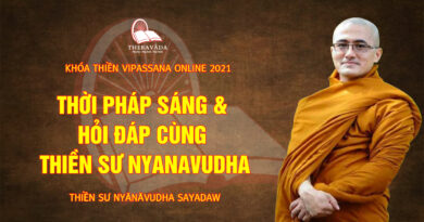 vipassana online thien su nyanavudha giang day 11