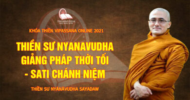 vipassana online thien su nyanavudha giang day 2 1