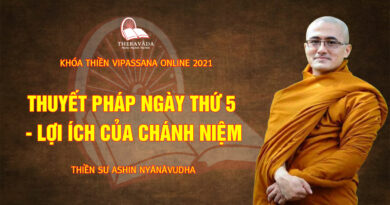 vipassana online thien su nyanavudha giang day 22