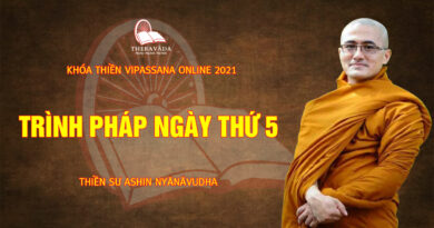 vipassana online thien su nyanavudha giang day 25