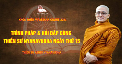 vipassana online thien su nyanavudha giang day 28