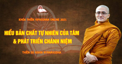 vipassana online thien su nyanavudha giang day 29