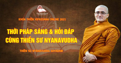 vipassana online thien su nyanavudha giang day 3