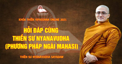 vipassana online thien su nyanavudha giang day 7