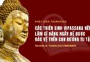 [Trực Tuyến Kênh Youtube] Thiền Sinh Vipassana Nên Làm Gì Hàng Ngày Để Được Bảo Vệ Trên Con Đường Tu Tập?