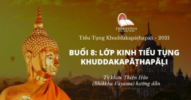 Buổi 8: Lớp Kinh Tiểu Tụng Khuddakapattha Pāḷi - Tỳ Khưu Thiện Hảo Giảng Dạy