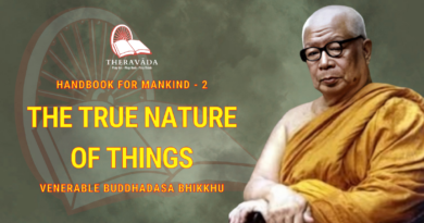 Handbook For Mankind - 2. The True Nature Of Things
