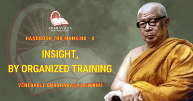 Handbook For Mankind - 8. Insight, By Organized Training