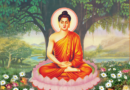 chuaadida full phat thich ca 佛釋迦 gautama buddha 1