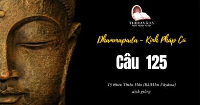 Lớp Kinh Pháp Cú Dhammapada Pali: Câu 125 - Kokasunakhaluddakavatthu