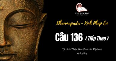 Lớp Kinh Pháp Cú Dhammapada Pali: Câu 136 - Ajagarapetavatthu (Tiếp Theo)