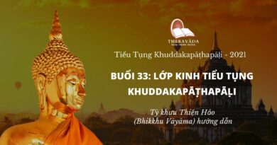 Buổi 33: Lớp Kinh Tiểu Tụng Khuddakapattha Pāḷi - Tỳ Khưu Thiện Hảo Giảng Dạy