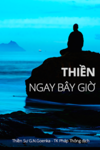 thienngaybaygio