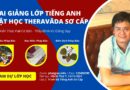 LOP TIENG ANH PHAT HOC KHAI GIANG LOP SO CAP