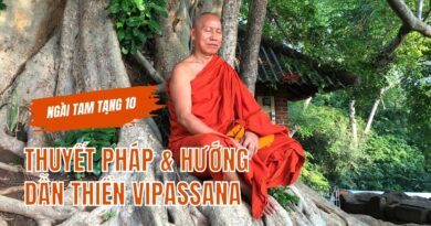 Ngai Tam Tang 10 Thuyet Phap Ve Loi Ich Thuc Hanh Chanh Phap Huong Dan Thien Vipassana 1