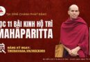 PHAT GIAO THERAVADA BANNER 62