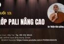 Lop Pali nang cao Su Thien Hao Phat Giao Theravada 13