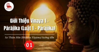 Buoi 1 Lop Vinaya 1 Parajika Luat 1 Parajika Su Thien Hao Bhik Vayama Phat Giao Theravada