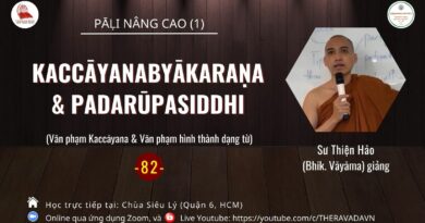 Lop Pali Nang Cao 1 Su Thien Hao Bhikkhu Vayama Phat Giao Theravada 82