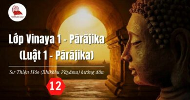 Lop Vinaya 1 Parajika Luat 1 Parajika Su Thien Hao Bhik Vayama Phat Giao Theravada 12