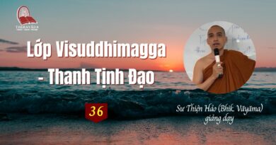 Visuddhimagga Thanh Tinh Dao Su Thien Hao Theravada 36