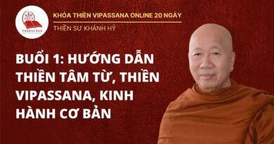 Buoi 1 Huong Dan Thien Tam Tu Thien Vipassana Kinh Hanh Co Ban Thien Su Khanh Hy Huong Dan 199