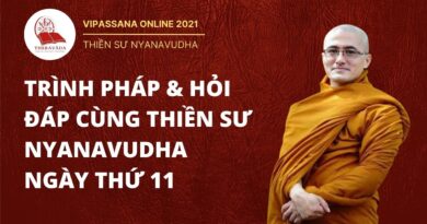 vipasssana online trinh phap hoi 2