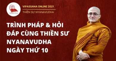 vipasssana online trinh phap hoi 6