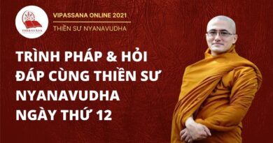 vipasssana online trinh phap hoi 7