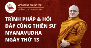 vipasssana online trinh phap hoi 8