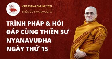 vipasssana online trinh phap hoi 9