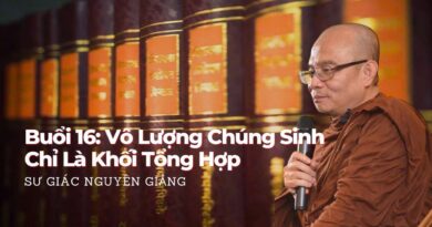 Buoi 16 Vo Luong Chung Sinh Chi La Khoi Tong Hop